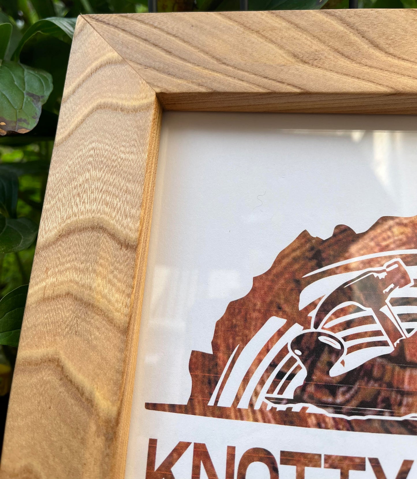 ~American Elm~ Setlist Frame